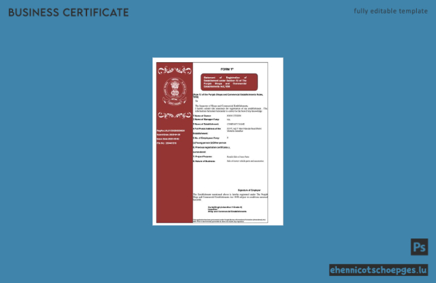 Registrierungszertifikat aus Punjab, Indien (Word und PDF), Version 2 – Beispielvorschau